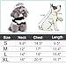 LUCKSTAR Prisoner Dog Costume - Prison Pooch Dog Halloween Costume Party Pet Dog Costume Clothes Cosplay with Hat for Teddy Pug Chihuahua Cat (Medium)