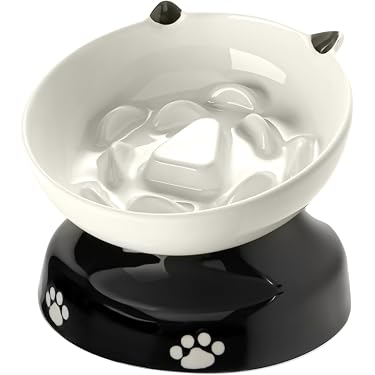 Amazon Best Sellers: Best Cat Slow Feeders
