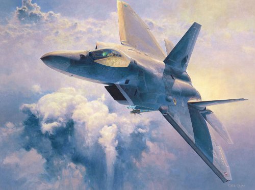 Hasegawa 1/48 F-22 Raptor USAF