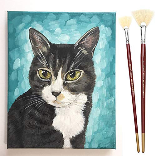 Dainayw White Bristles Fan Paint Brushes, Profession Artist Oil Acrylic