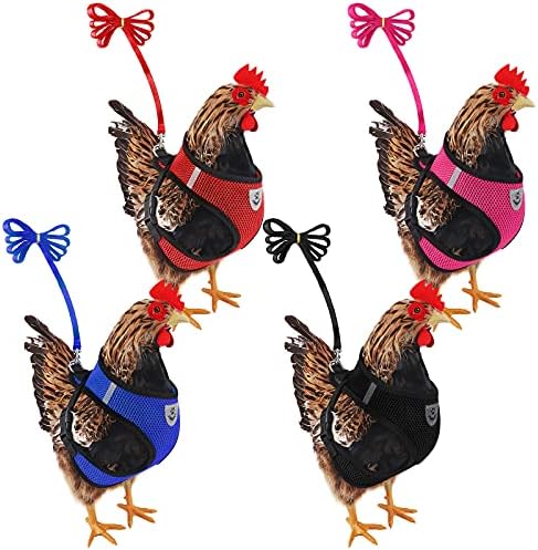 rooster leash