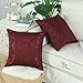CaliTime Throw Pillow Covers Pack of 2 Modern Shining & Dull Contrast Circles Rings Accent Geometric Cushion Cases Shells for Couch Sofa Home Decor 18 X 18 Inches Burgundy