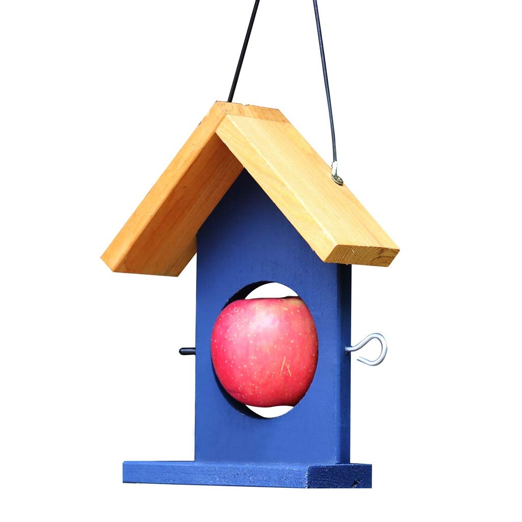 Choose Design Fruit Bird Feeder Wooden Bird Shaped Hanging Fatball