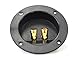 Absolute USA RST-450 4-Inch Round Gold Push Spring Loaded Jacks Double Binding Post Speaker Box Terminal Cup