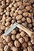 Opinel No.06 Stainless Steel Folding Knife with Oak Wood Handle