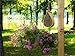 NatureZ Edge Mason Bee House, Natural Bamboo Mason Bee Hive, Supercharge Your Garden by Attracting The Perfect Non-Aggressive Pollinator Bees, Bee Hotel