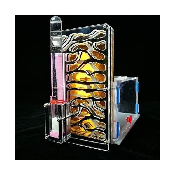 8bayfa Ant Farm Toy Formicaio R1 con Alimentazione Area Ant Farm Acrilico Insetti Gabbie Villa Pet Mania for Casa…