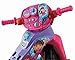 Fisher-Price Dora and Friends Lights and Sounds Trike