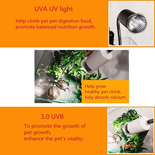 CTKcom 25W UVB Light UVA Bulb Halogen Basking Bulb(4 Pack)- 110V Full spectrum Reptilian Lamp Lizard Lamp UV Heating Lamp Spot Lamp For Turtle Aquarium Aquatic Reptile Lizard Habitat Heat Light,4 Pcs