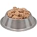 Wysong Archetype Raw Canine/Feline Diet Dog/Cat Food - 7.5 Ounce Bag