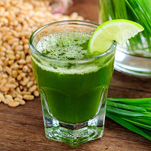 Pure Organic Wheat Grass Powder (200g / 50 Servings) - Thumbnail 6