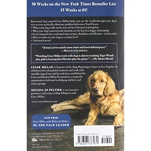 Cesar's Way: The Natural, Everyday Guide to Understanding & Correcting Common Dog Problems