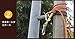 Outdoor Climbing Rope 10M(32ft) 20M(64ft) 30M (98ft) Rock Climbing Rope, Escape Rope Climbing Equipment Fire Rescue Parachute Rope