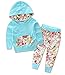 Baby Girls Floral Hoodie+ Floral Pant Set Leggings 2 Piece Outfits (6-12Months, Blue)