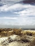 Notebook: dunes landscape dune grass sand beach sea