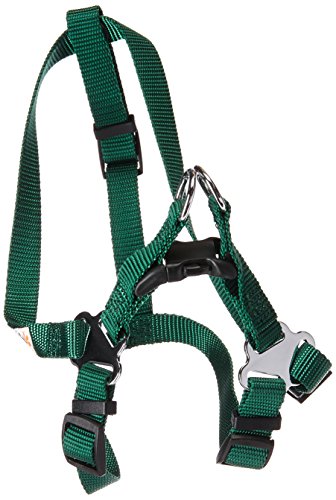GoGo Pet Products Comfy Nylon 5/8-Inch Adjustable Easy Pet Harness, Small, Hunter Green