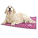 Way 2 Cool Our Innovated Pet Microfiber Cooling Towel. Comes in 3 Sizes for All Dog Sizes. Small/Medium/Large