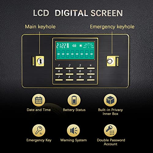 Safe Box, LAOMOR Security Safe with Programmable Electronic Digital