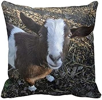 Goat Barnyard Farm Animal Pillow Case