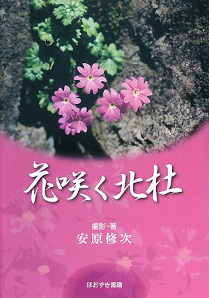 花咲く北杜 修次 安原 本 通販 Amazon