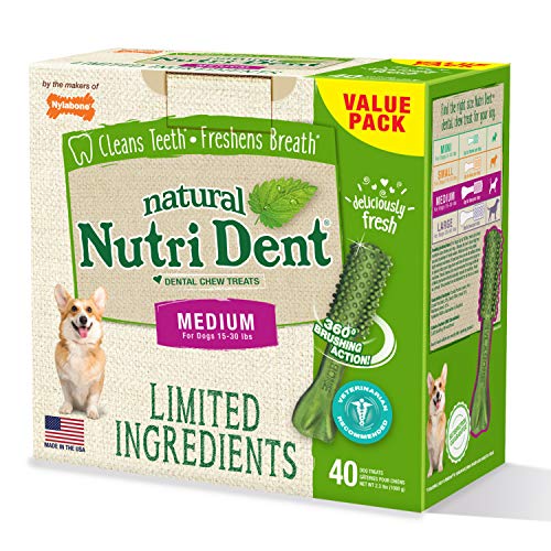 natural nutri dent