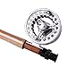 Sougayilang Saltwater Freshwater Fly Fishing Rod with Reel Lines Flies Combo Kit (Silver Fishing Kits)