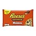 REESE'S Peanut Butter Cups Miniatures, 19.75 Ounce