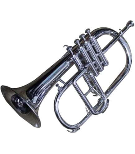 フリューゲルホルン　B&S Challenger I 3145G　美品 Amazon.com: B&S 3145 Challenger I Intermediate Bb Flugelhorn
