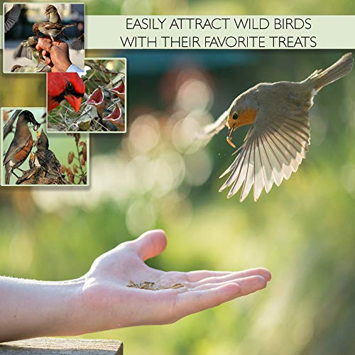 4 PICKY+NEB+Non+GMO+Dried+Mealworms