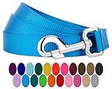 Country Brook Petz - Vibrant 22 Color Selection - Nylon Dog Leash (Ice Blue, 1 inch Width, 6 Foot)