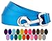 Country Brook Petz | Vibrant 21 Color Selection | Nylon Dog Leash (Ice Blue, 1 inch Width, 6 Foot)