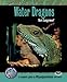 Water Dragons (Complete Herp Care) by 