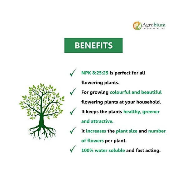 Agrobium's Fertilizer for Flower Growth, NPK Nitrogen Phosphorus & Potassium Fertilizer (8:25:25), for Vigorous Flower… - Image 6