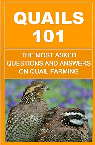Quails 101: The Most Asked Questions And Answers On Quail Farming by F Otieno