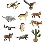 Safari Ltd Desert TOOB, Pack of 11