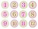Pearhead First Year Monthly Milestone Photo Sharing Baby Belly Stickers, 1-12 Months, Pink