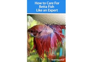 How to Care for Betta Fish Like an Expert (Aquarium and Turtle Mastery Book 4)