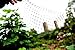 Anytime Garden 4M x 10M Heavy Duty Black Bird Netting for Tree and Plant Protection - Bird Control and Detering Pigeon Nesting on Your House Made in Europe (7 X 75 FT)