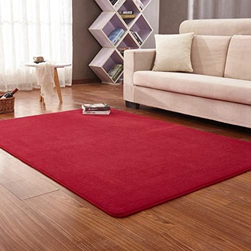 無地長方形エリアラグ ソフト リビングルーム 子供用 ベッドルーム ラグ コーラルフリース 滑り止めカーペット ホームデコレーション モダン 屋内 屋外ランナー 保育園 ピンク 8フィート X 10フィート 6 5 X 8 5 レッド