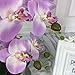 LIVILAN Romantic Lifelike Silk Orchid with Decorative Ceramic Vase,Large Vivid Artificial Flower Arrangement,Potted Orchid Plant,Lavender