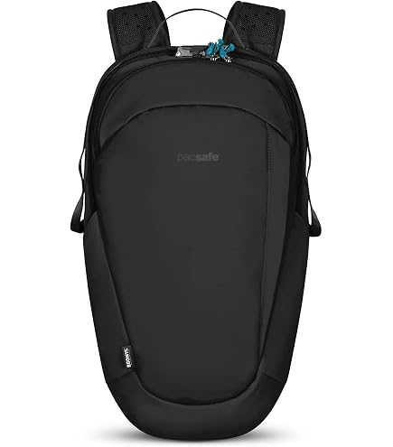 Amazon.com | Pacsafe Vibe 25L Anti Theft Travel Pack Casual