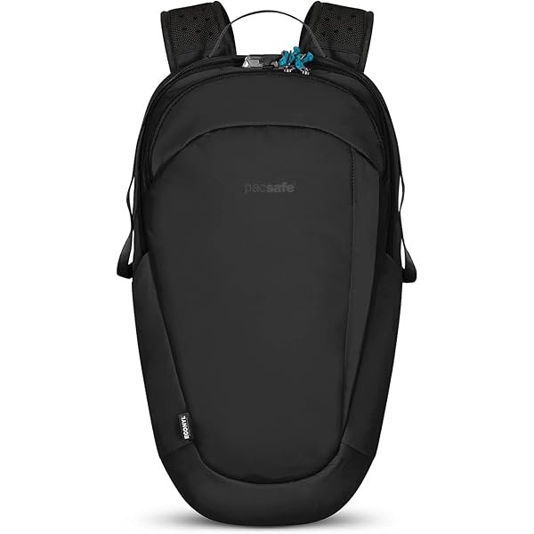 Amazon.com: Pacsafe ECO 18L Anti Theft Backpack, ECONYL Black