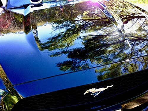 GLAS : : Polysilazane (SiO2 & TiO2) Nano-Ceramic Hydrophobic Coating for Whole Car & RV - Tires - Windshield - Patio Furniture - Shower Door - Wall Tiles - Stainless Steel // 16oz + Free GLOZ Sample - Thumbnail 3