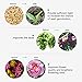 Grow Light, HALUM Plant Grow Light 36W Cycle Timing with Red/Blue Spectrum, 8 Dimmable Levels Growing Lamp, Auto ON and Off with 4/8/12H Timer for Indoor Plants