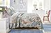 Barefoot Bungalow Atlantis Coastal Quilt Set, 3-Piece King/Cal King, Jade