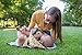SnoofyBee Portable Clean Hands Changing Pad. 3-in-1 Diaper Clutch, Changing Station, and Diaper-Time Playmat with Redirection Barrier for use with Infants, Babies and Toddlers (Tropical Citrus)