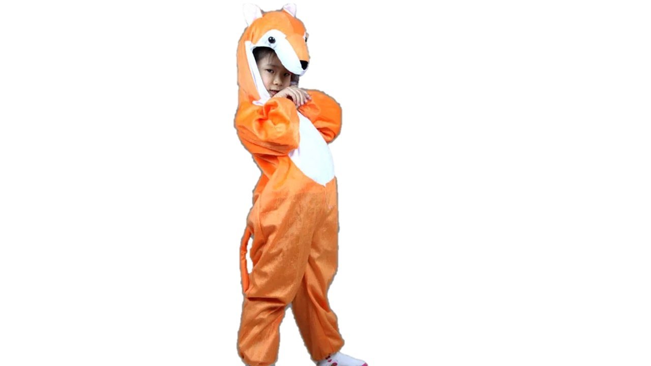 Kids Animal costumes Boys Girls Pijamas Fancy Dress outfit Cosplay Children (Fox, M (For kids 90-105 cm tall))