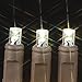 Novelty Lights 11ft 50 LED Warm White Christmas String Lights, 2.5