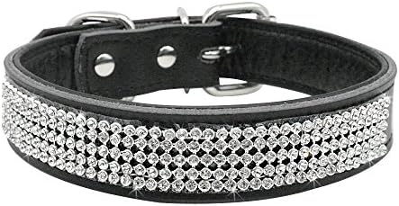 diamond studded dog collar