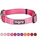 Blueberry Pet Essentials Medium Dog Collar | Neck 14.5